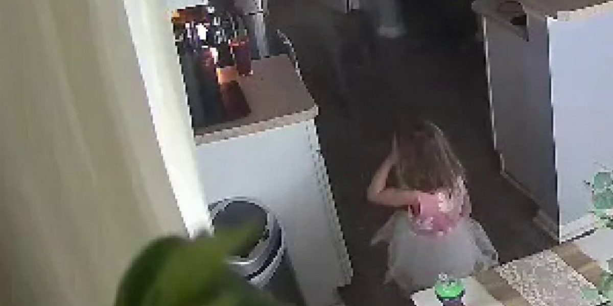 Watch This 4Yearold Jump Into Action When Air Fryer Catches Fire in